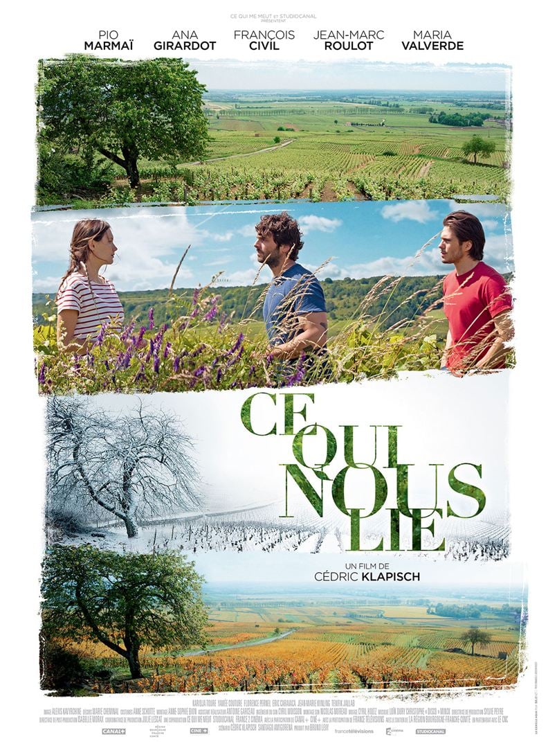 Affiche du film Ce qui nous lie de Cédric Klapisch