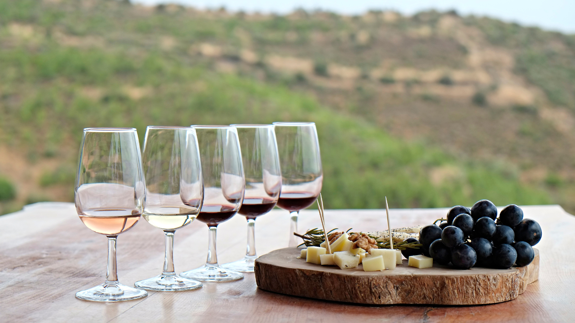 5 verres de degustations contenant differents vins pose sur une table en exterieur a cote d’une planche de fromages et de fruits