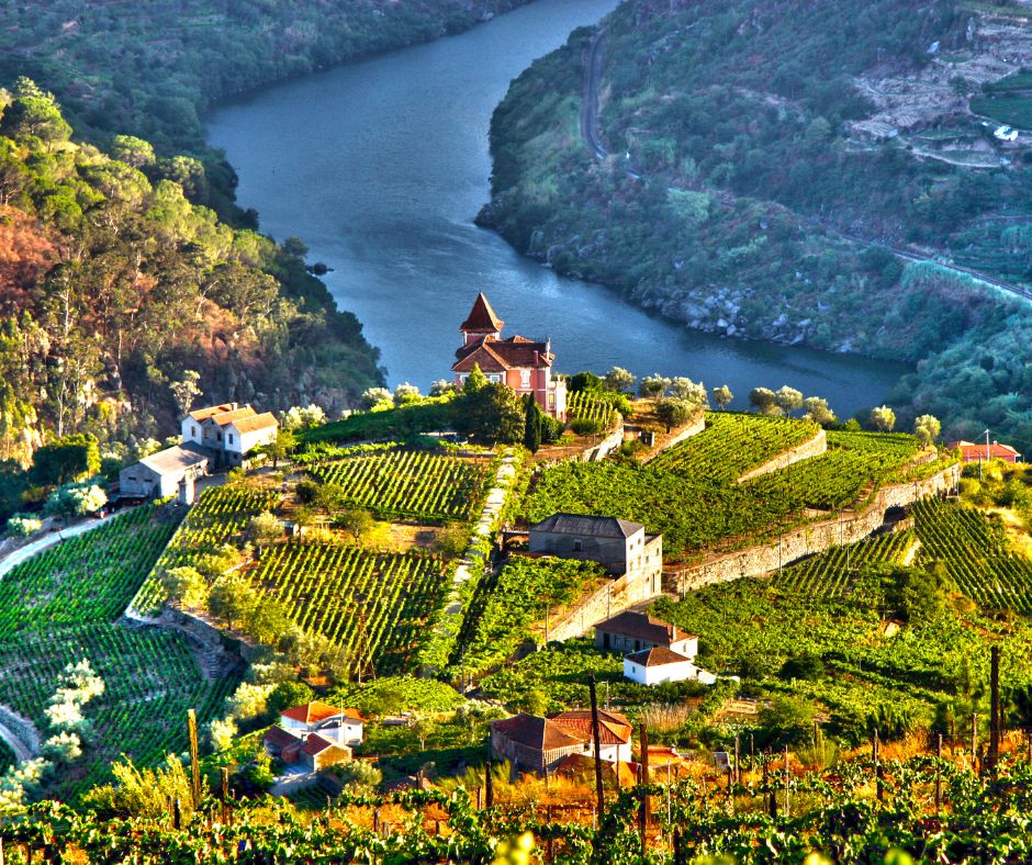 Vignoble de Douro au Portugal surplombant le fleuve Douro