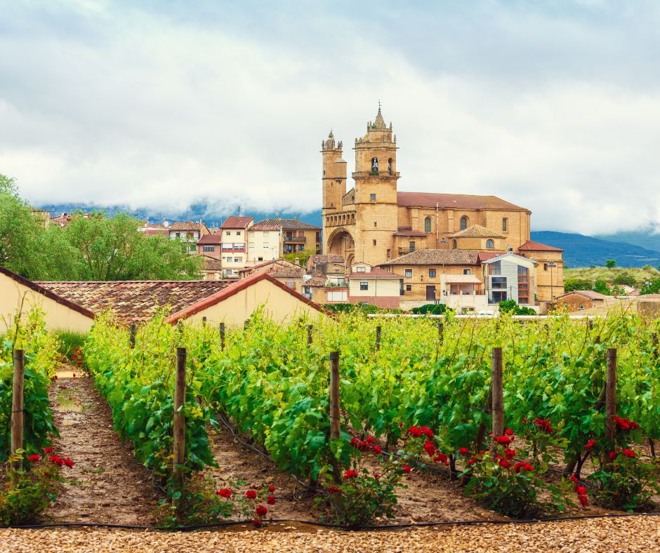 Vignes dans la ville de Logroño dans la Rioja en Espagne