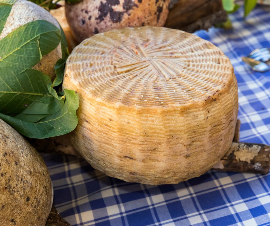 Fromage Pecorino de Pienza typique de Toscane 