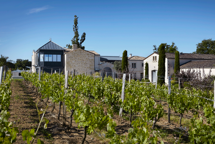 Domaine viticole bio Château La Rose Perrière à Lussac-Saint-Émilion